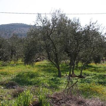 Slike Doli